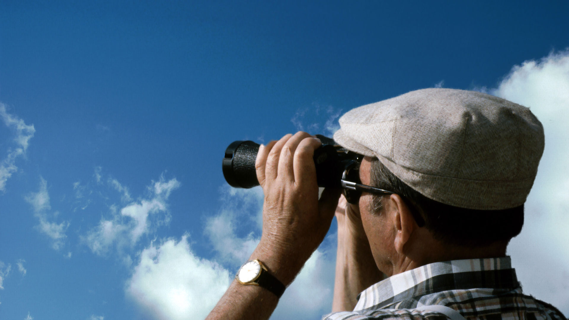 consulere|formare Suchen Sie einen Internetexperten?